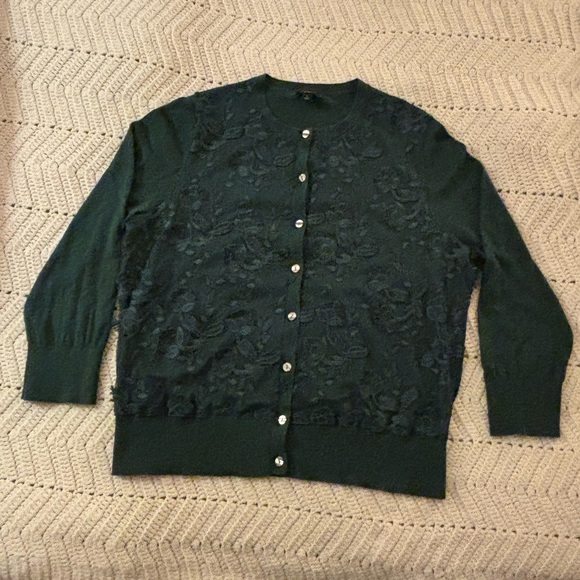 Ann Taylor Factory Lace Mesh Overlay Cardigan-XL-Embroidered-3D-Button Front - Picture 1 of 1